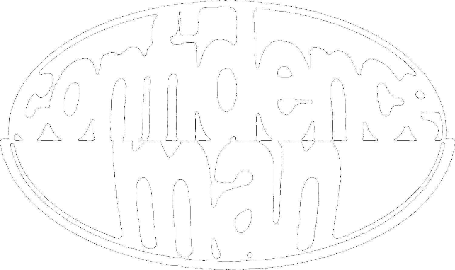 Confidence Man